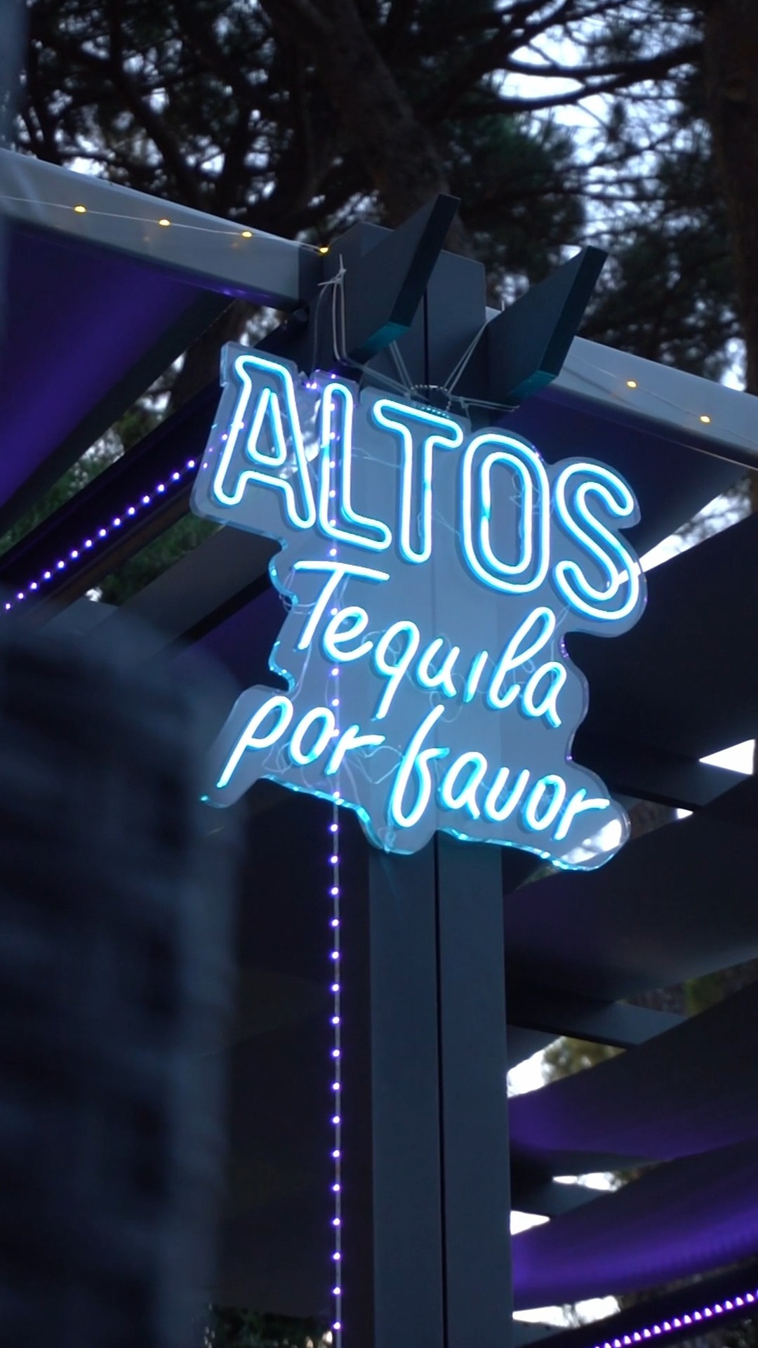 Al Fred246 sono arrivate le granite!
Mango, cocco, mojito, amarena, limone, mela...