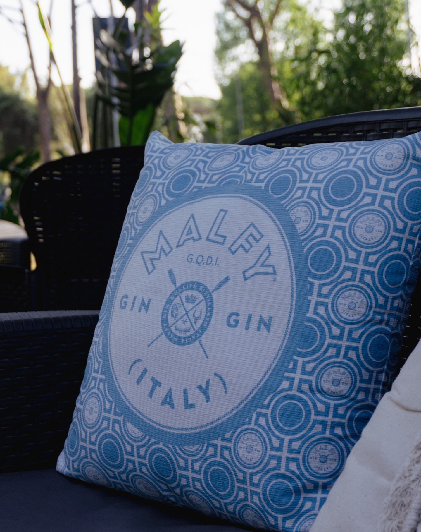 Ecco la versione estiva del Fred246!
Questi sono i dettagli del nuovo spazio est...