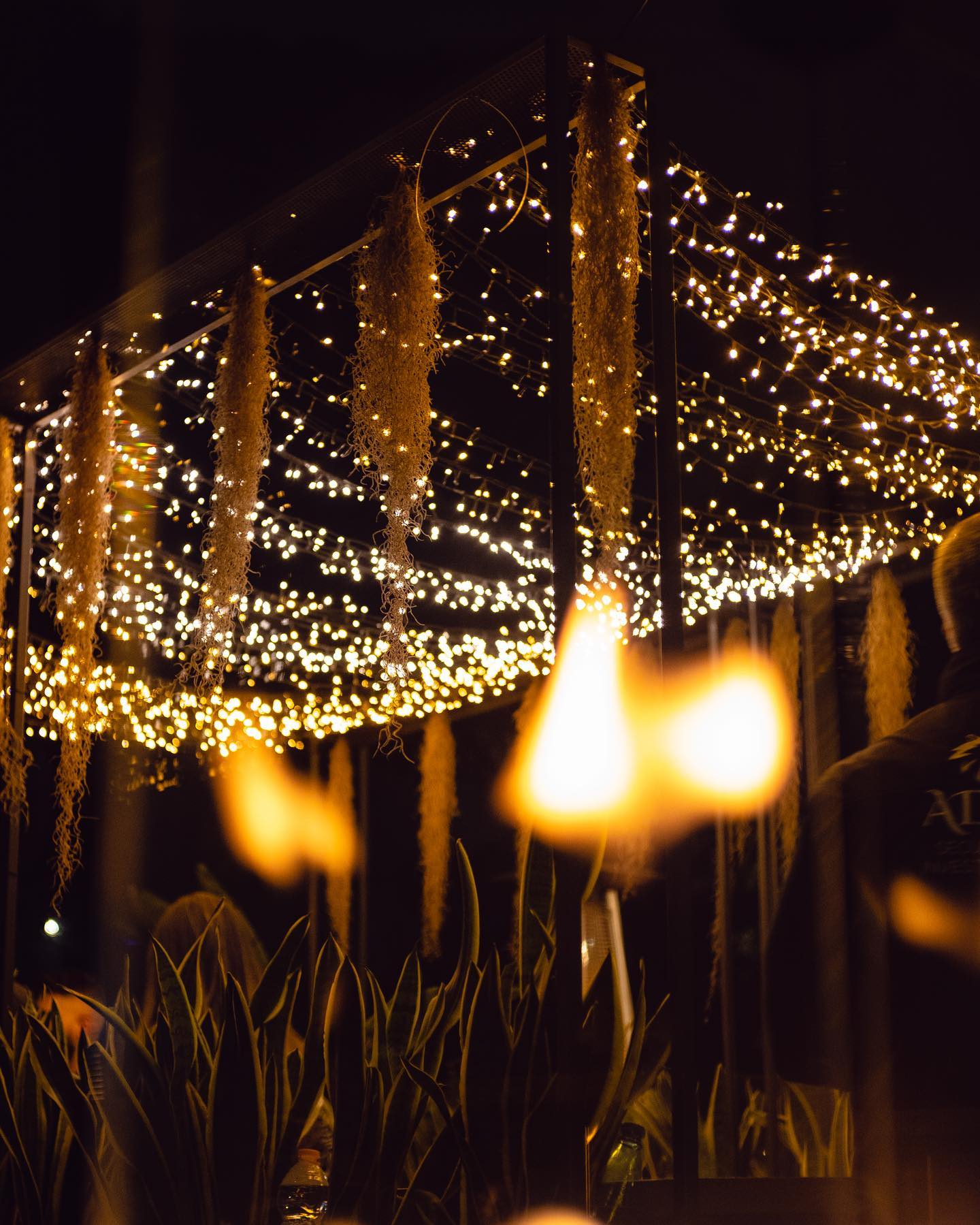 I dettagli fanno la differenza.

Vi aspettiamo tutti i giorni dalla colazione al...