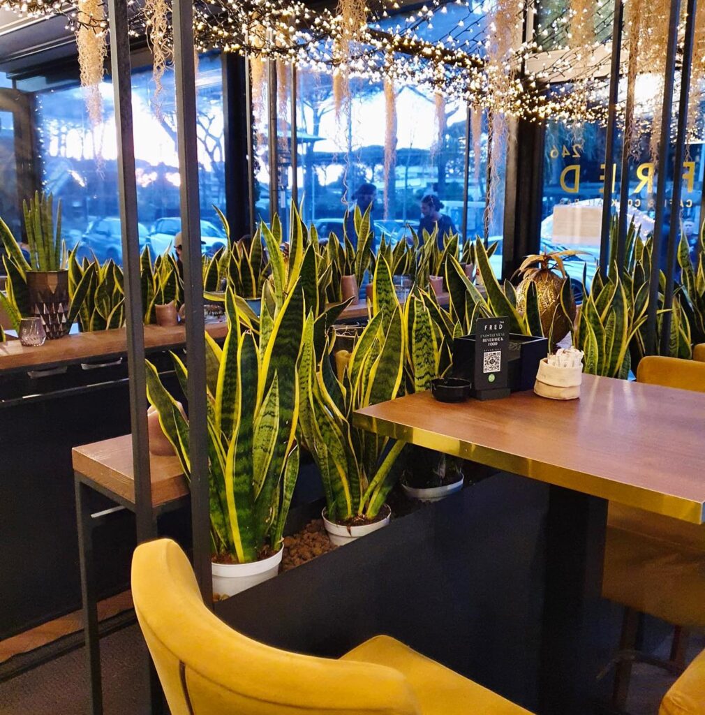 viale gorgia di leontini 6
0650611002 

#fred246cafe #roma #casalpalocco #berear...