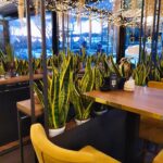 viale gorgia di leontini 6
0650611002 

#fred246cafe #roma #casalpalocco #berear…