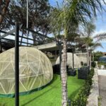 Nuovo look fresco ed estivo per i nostri igloo
Vi piacciono

Viale Gorgia Di Leo…