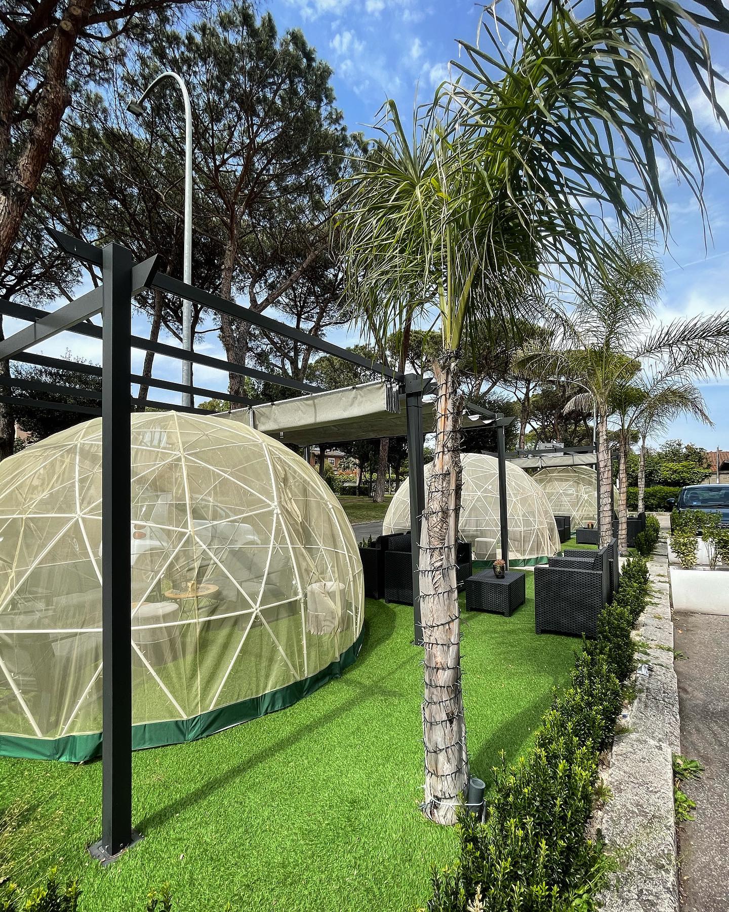 Nuovo look fresco ed estivo per i nostri igloo
Vi piacciono

Viale Gorgia Di Leo...