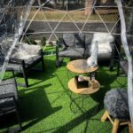 Into the igloo#fred246cafe #casalpaocco #roma #cocktailbar #igloo #mangiarearoma…