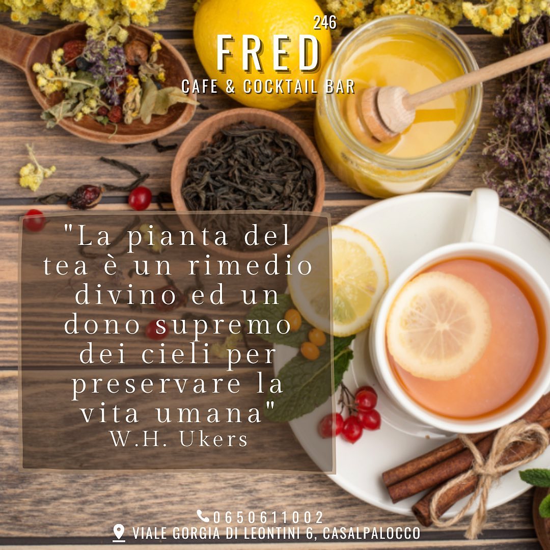 Fred ti aspetta per la merenda.. vieni a scoprire il nostro vasto assortimento d...