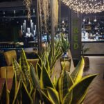 “Your home away from home”  #fred246cafe #location #secondhome #cocktaillovers #…