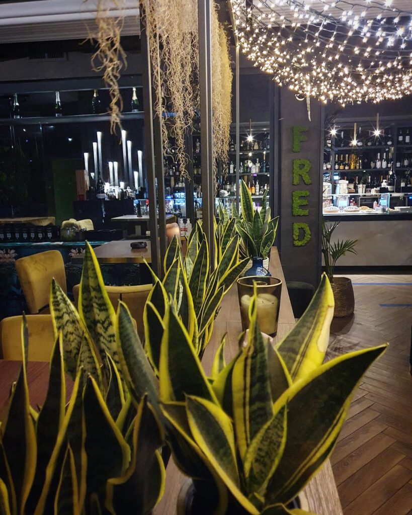 “Your home away from home”  #fred246cafe #location #secondhome #cocktaillovers #...