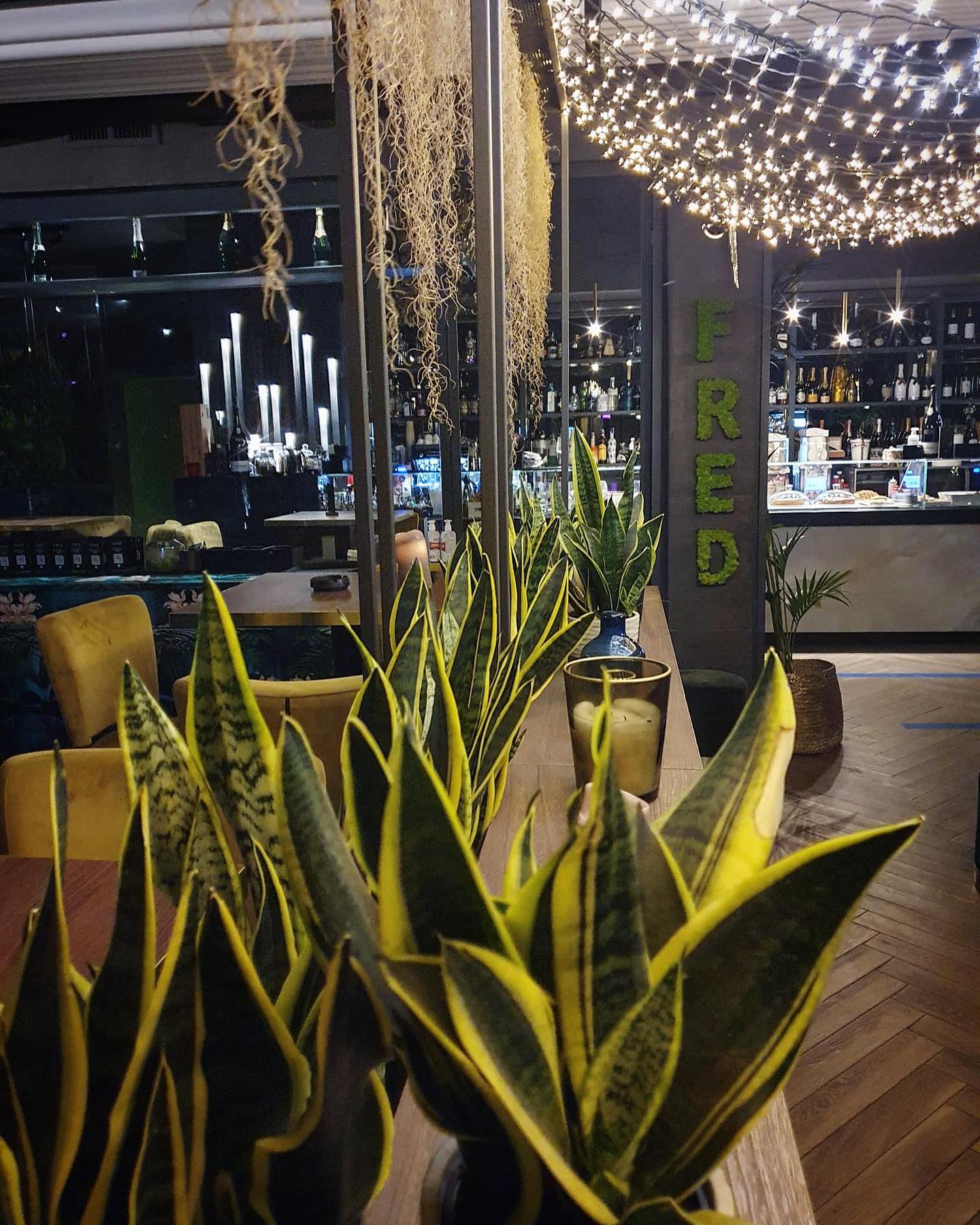 “Your home away from home”  #fred246cafe #location #secondhome #cocktaillovers #...