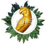 logo-fred246-roma-tra